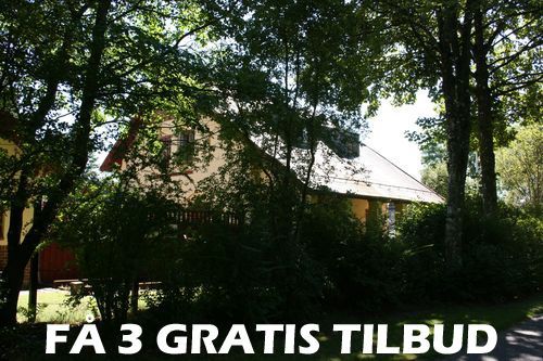 3 tilbud træfældning: På traefaeldning-tilbud.dk kan vi bistå dig med at få en gunstig prisrabat
