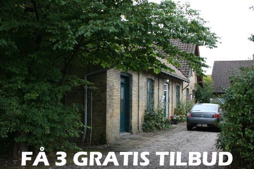 3 tilbud træfældning: I 2025: Gratis tilbud!