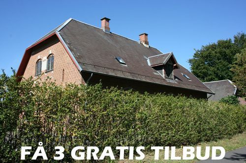 3 tilbud træfældning Lejre: Her er træfælderhjælpen, der snakkes om