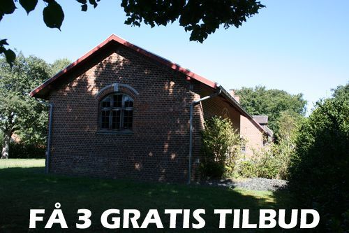 3 tilbud træfældning Aarhus: Rabatten kan løbe op i 30 procent